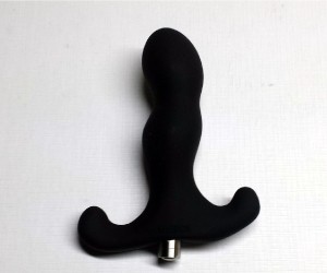 Aneros Vice prostate toy