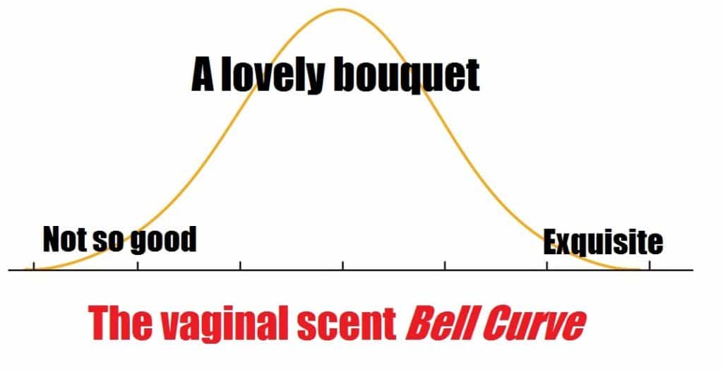 vaginal scent bell curve - what pussy smells like