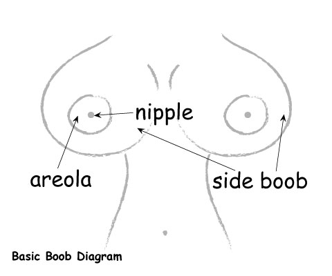 boob diagram