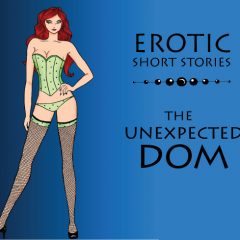 Erotic Short Stories:  the Unexpected DOM