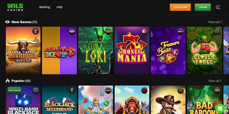Wild Casino